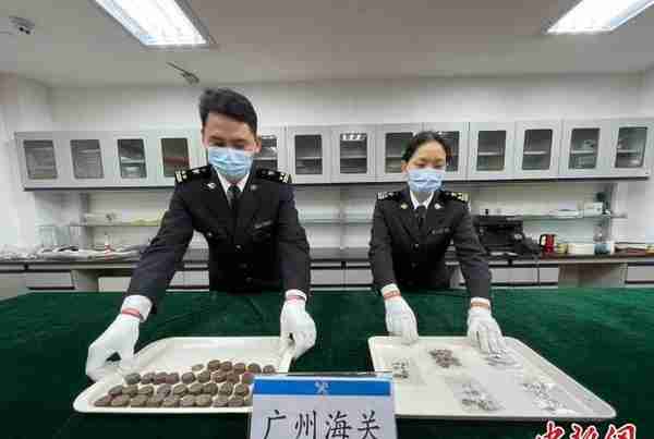 广州海关向文物部门移交372枚查获的古钱币