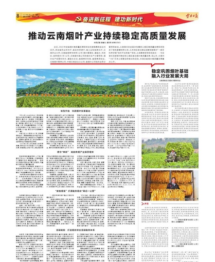 「奋进新征程 建功新时代」推动云南烟叶产业持续稳定高质量发展