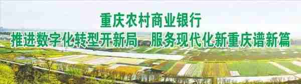 重庆农村商业银行推进数字化转型开新局 服务现代化新重庆谱新篇