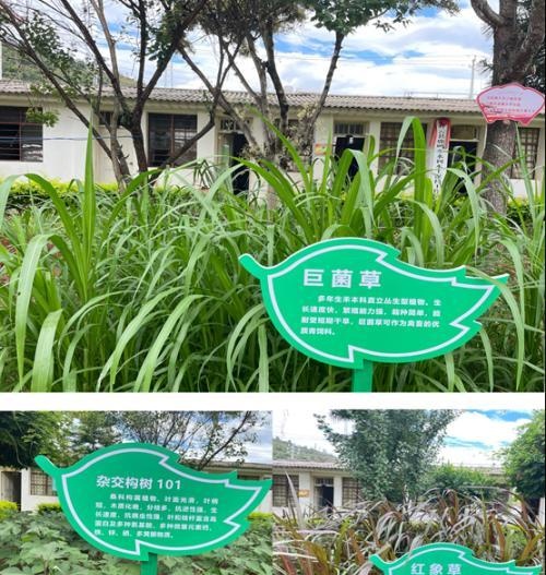 云南首单产业帮扶绿色慈善信托成立