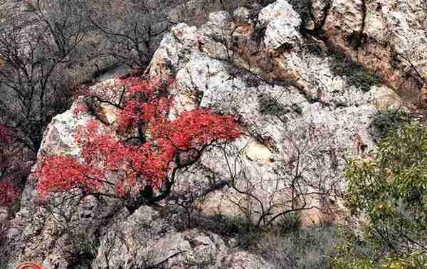 美丽遂平：初冬，红石崖