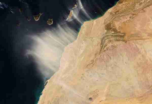 看似荒芜的撒哈拉沙漠，却通过大气环流，滋养着全球的生态系统