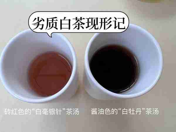 劣质白茶现形记，酱油色的“白牡丹”茶汤，谁敢下咽？
