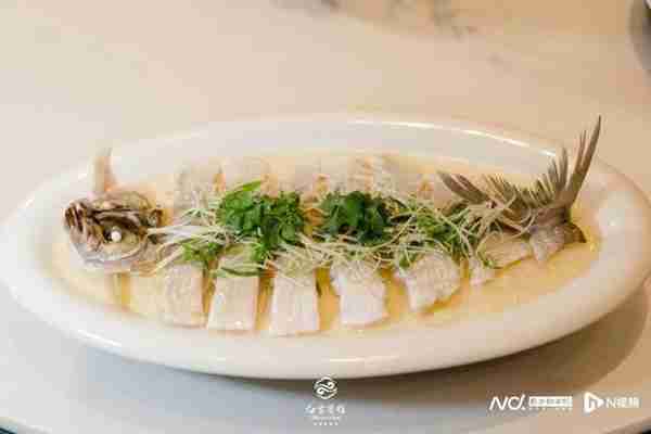 今年广州食“春”到白云宾馆，老广餐桌上有了“金陵美食”