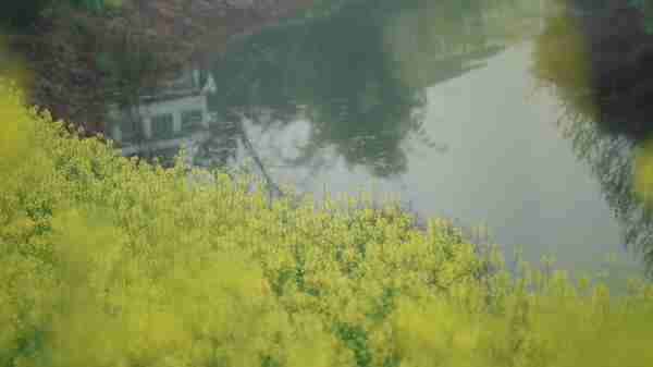 发现四川新旅游 | 中江黄鹿·花田渔歌：天府粮仓的鱼米之乡，现代农业的诗和远方