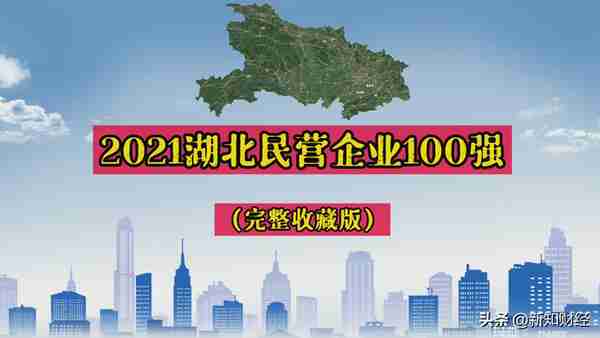 盘点2021：湖北民营企业100强（完整版），九州通 卓尔营收超千亿