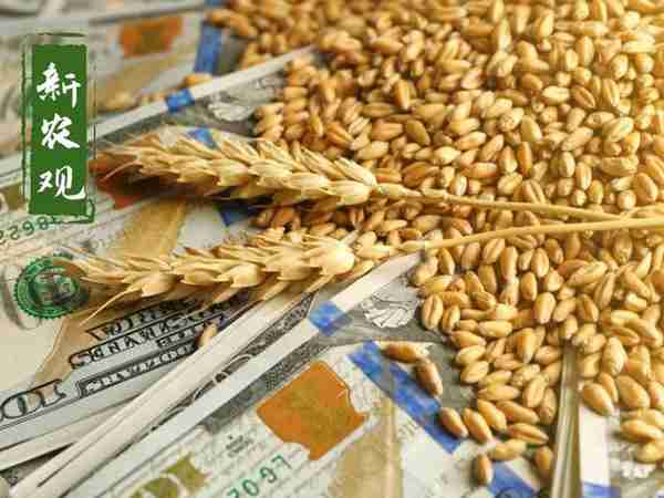 国内国际小麦一齐下跌，发生了什么？