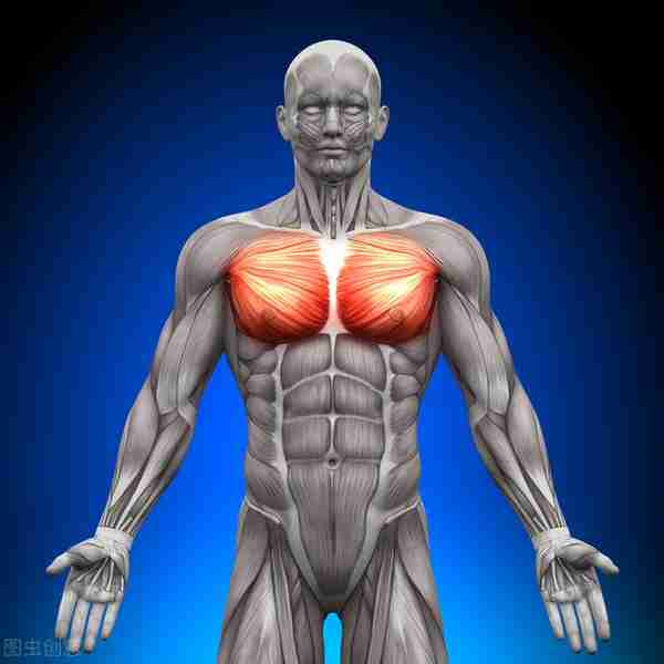 如何才能练出饱满的胸大肌？九个动作教你塑造下胸线