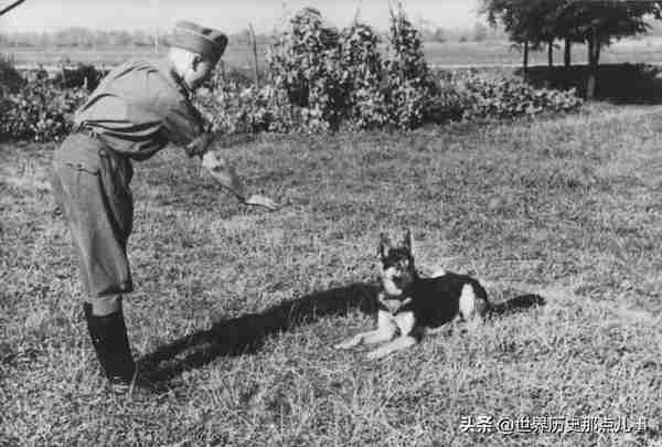 1946年，美国陆军中校偶然发现一本相册，揭开了纳粹军官的私生活