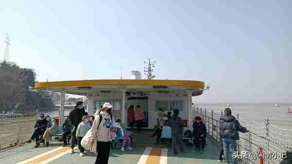 南京燕子矶码头免费乘轮渡过江，到八卦洲摘草莓放风筝